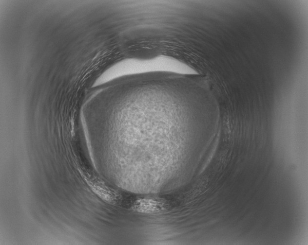 X0000085800703200703301458