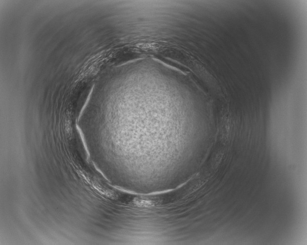 X0000085800706200703301458