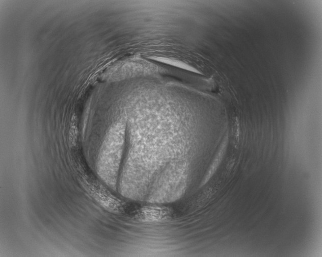 X0000085800707200703301458