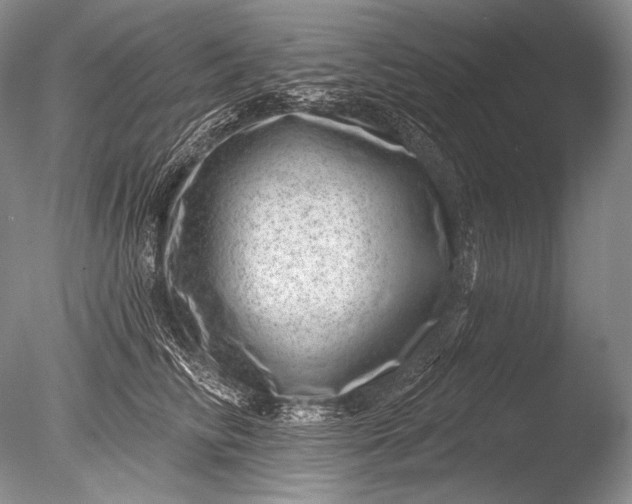 X0000085800710200703301458