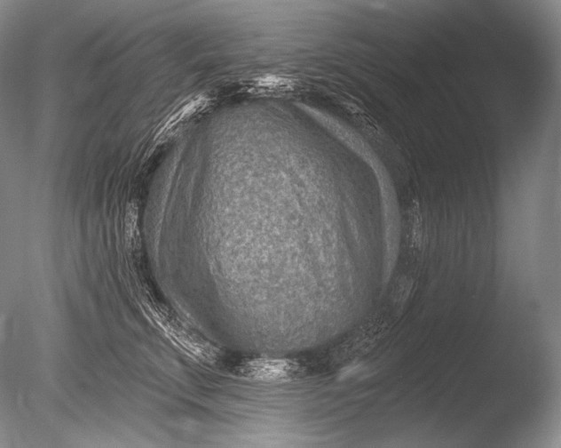 X0000085800711200703301458