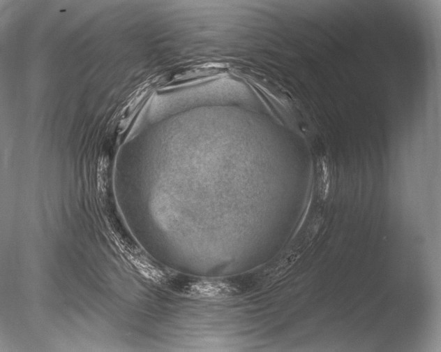 X0000085800712200703301458