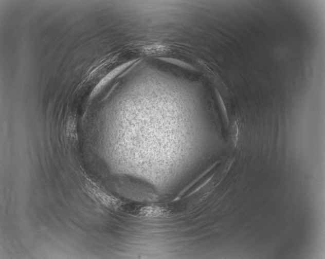 X0000085800714200703301458