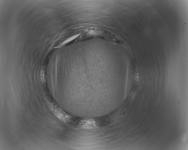 X0000085800715200703301458