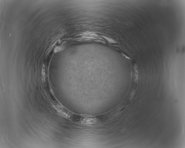 X0000085800716200703301458