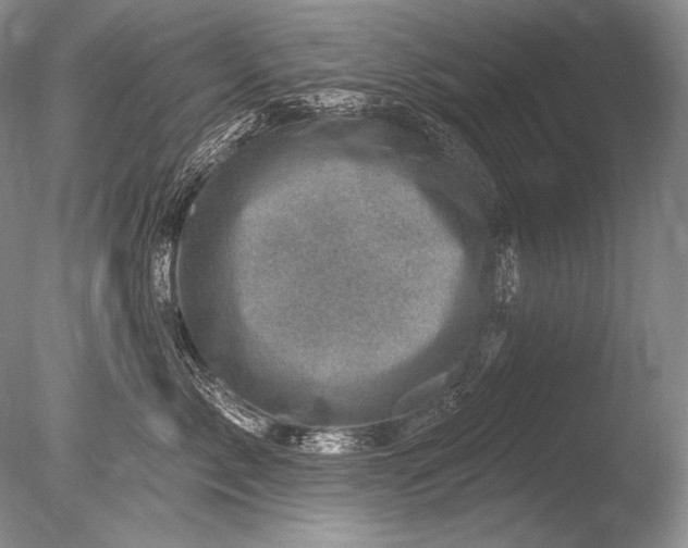 X0000085800717200703301458