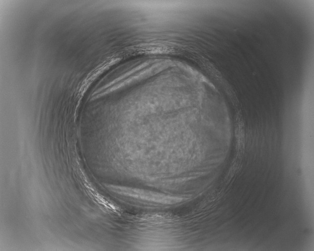 X0000085800721200703301457