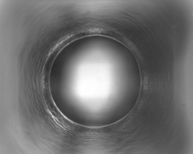 X0000085800722200703301457