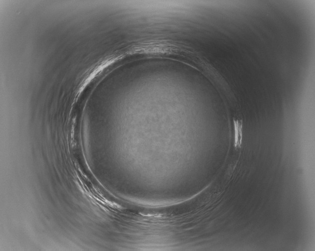 X0000085800723200703301457