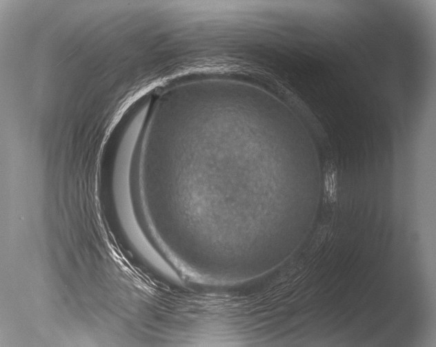 X0000085800724200703301457