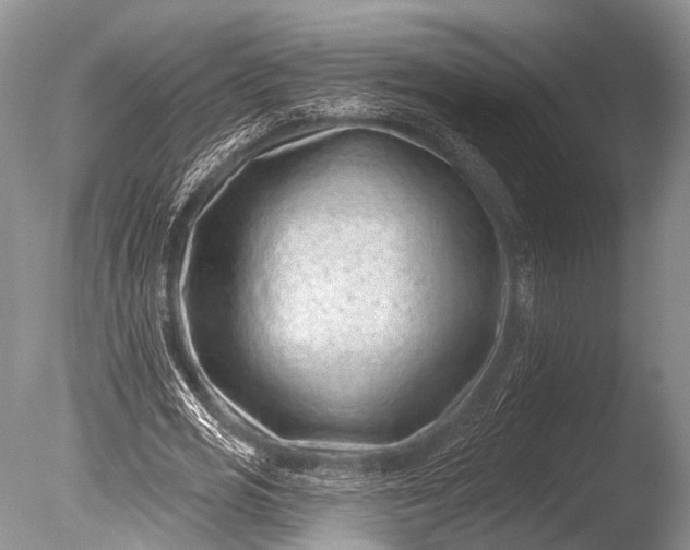 X0000085800725200703301457