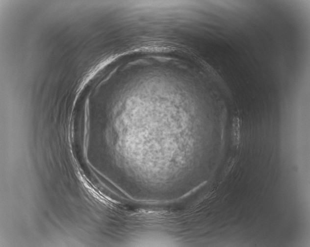 X0000085800726200703301457