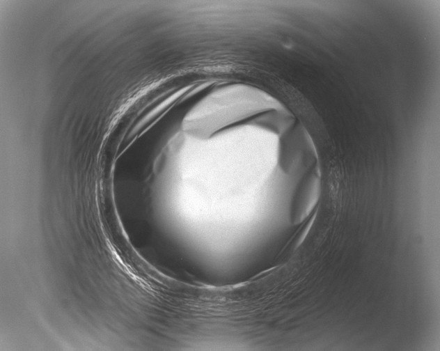 X0000085800728200703301457