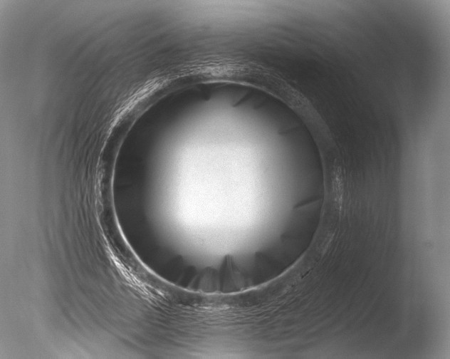 X0000085800730200703301457