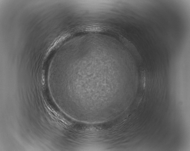 X0000085800731200703301457