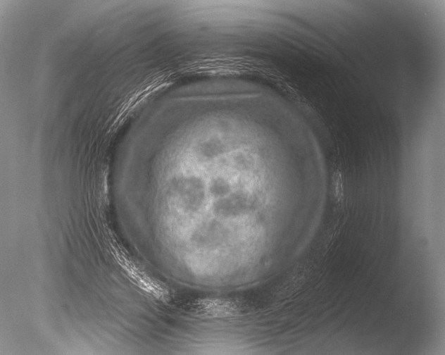 X0000085800733200703301457