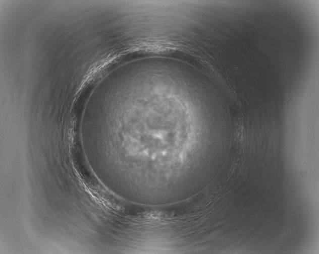 X0000085800736200703301457