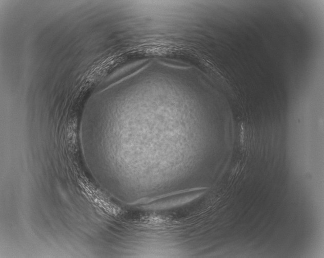 X0000085800737200703301457