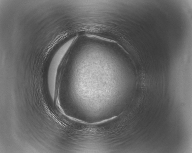 X0000085800738200703301457