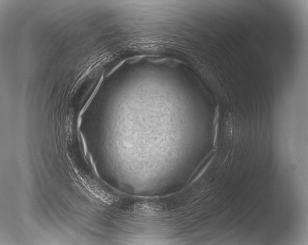 X0000085800739200703301457