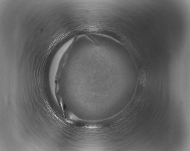 X0000085800740200703301458