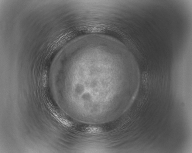 X0000085800741200703301458