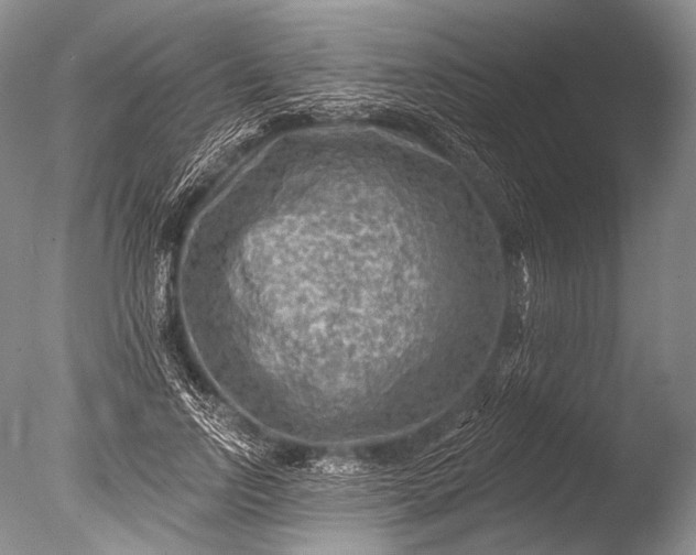 X0000085800742200703301458