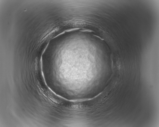 X0000085800744200703301458