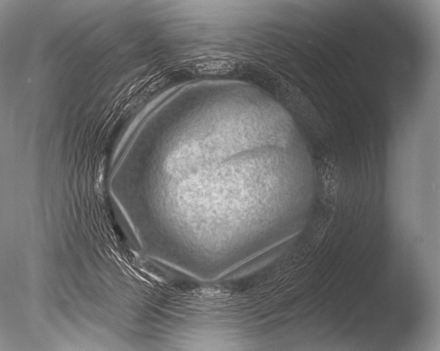 X0000085800745200703301458