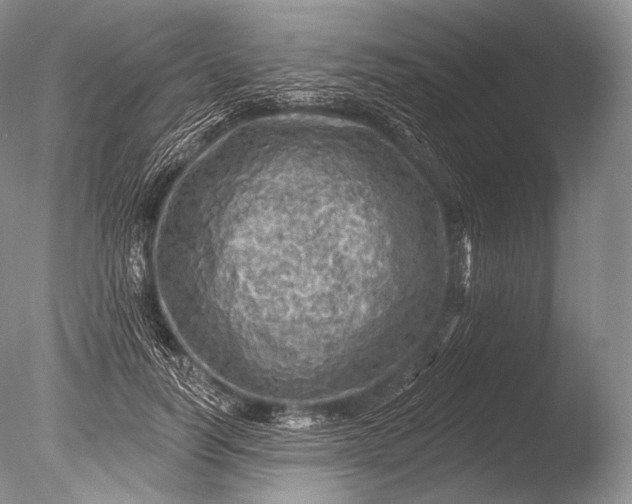 X0000085800746200703301458