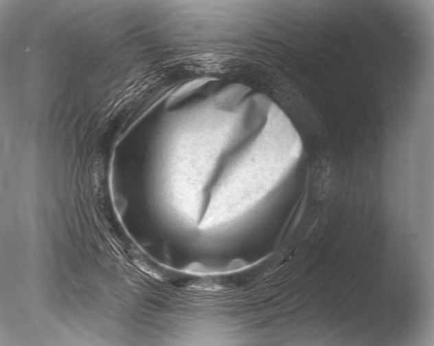 X0000085800747200703301458