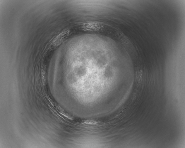 X0000085800749200703301458