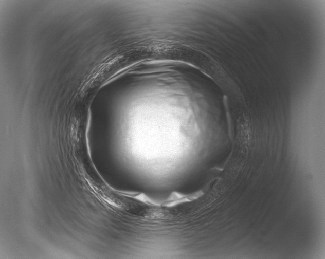 X0000085800750200703301458