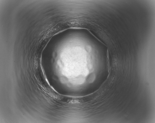 X0000085800751200703301458