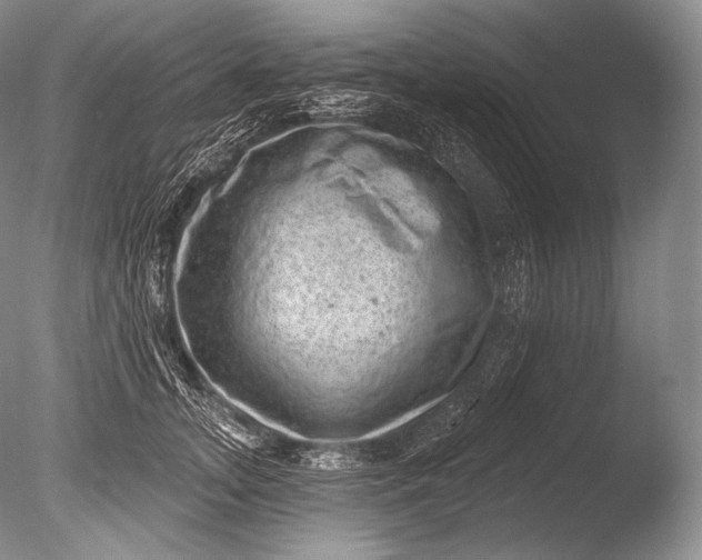 X0000085800755200703301458