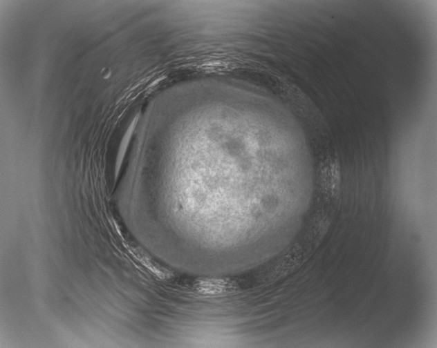 X0000085800757200703301458