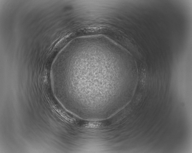 X0000085800758200703301458