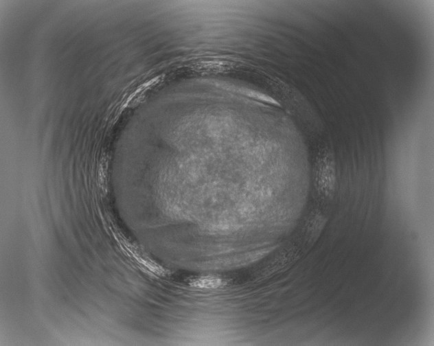 X0000085800759200703301458