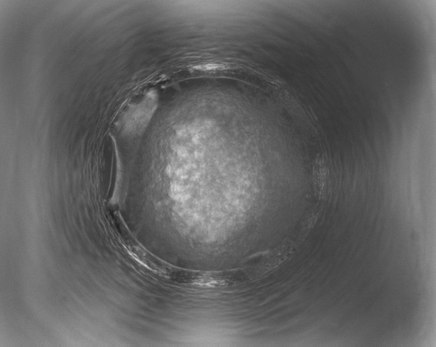 X0000085800760200703301458