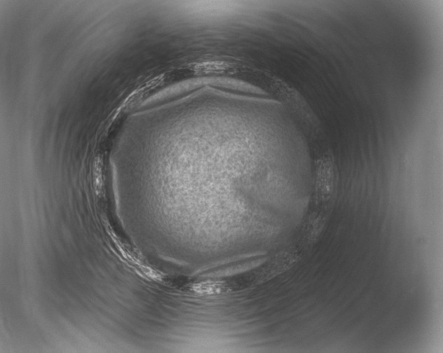 X0000085800761200703301458