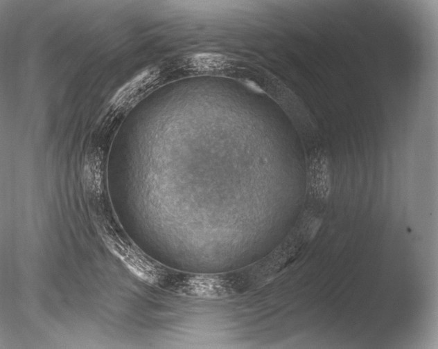 X0000085800762200703301458