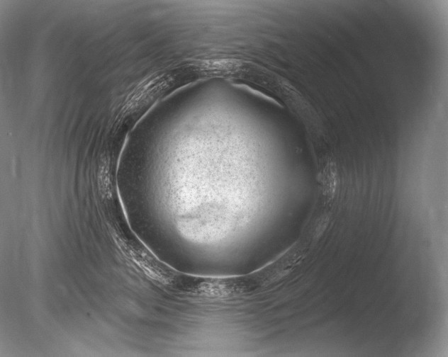 X0000085800764200703301458