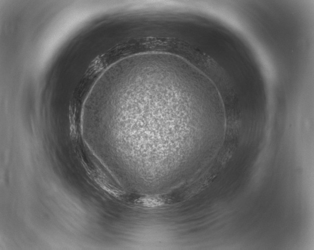 X0000085800765200703301458