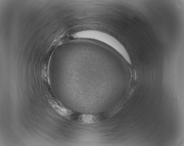 X0000085800766200703301458