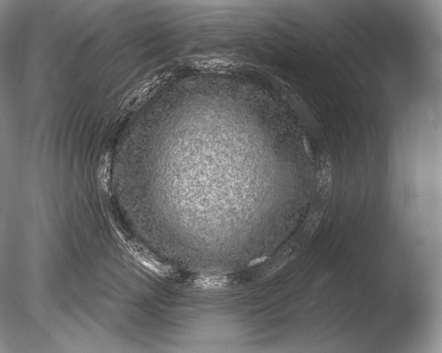 X0000085800767200703301458