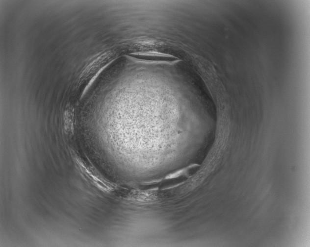 X0000085800768200703301458