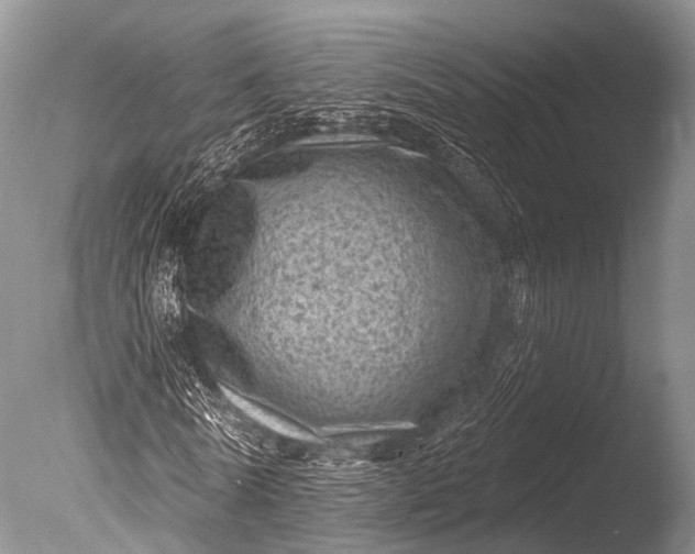 X0000085800770200703301457