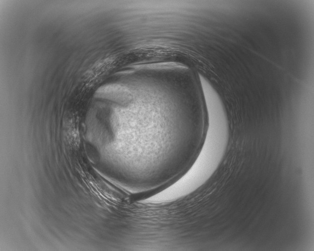 X0000085800771200703301457