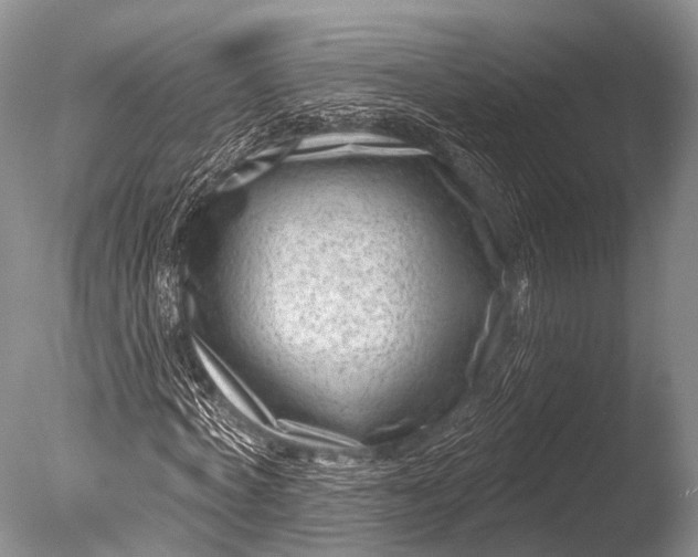 X0000085800772200703301457