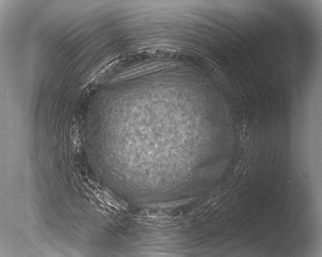 X0000085800774200703301457